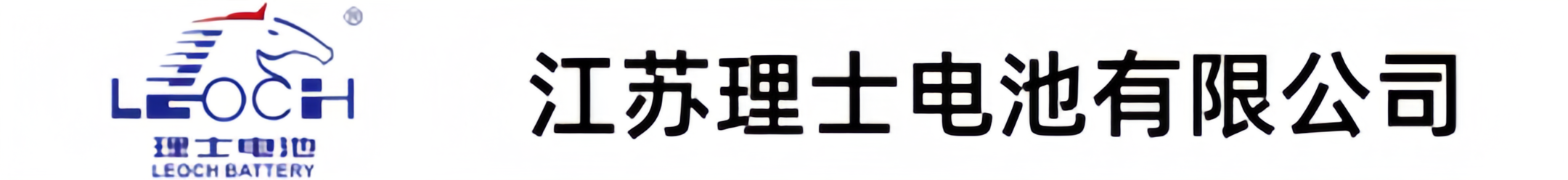 江苏理士电池有限公司